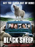 Black Sheep