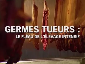 germes-tueurs-le-fleau-de-elevage-intensif.webp
