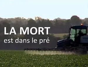 la_mort_est_dans_le_pre.webp