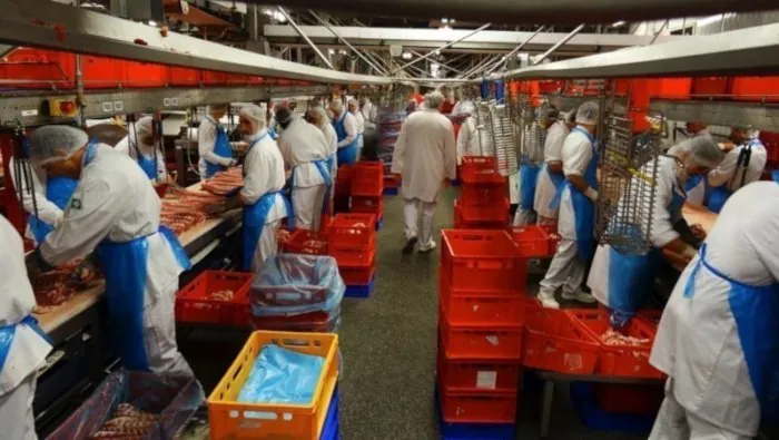 Voyage au bout de la viande